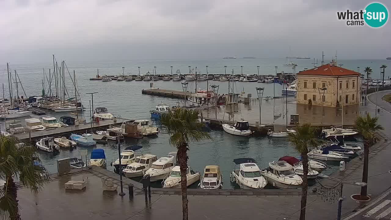 Spletna kamera Koper – Panorama na marino in promenado s Hotela Grand Koper