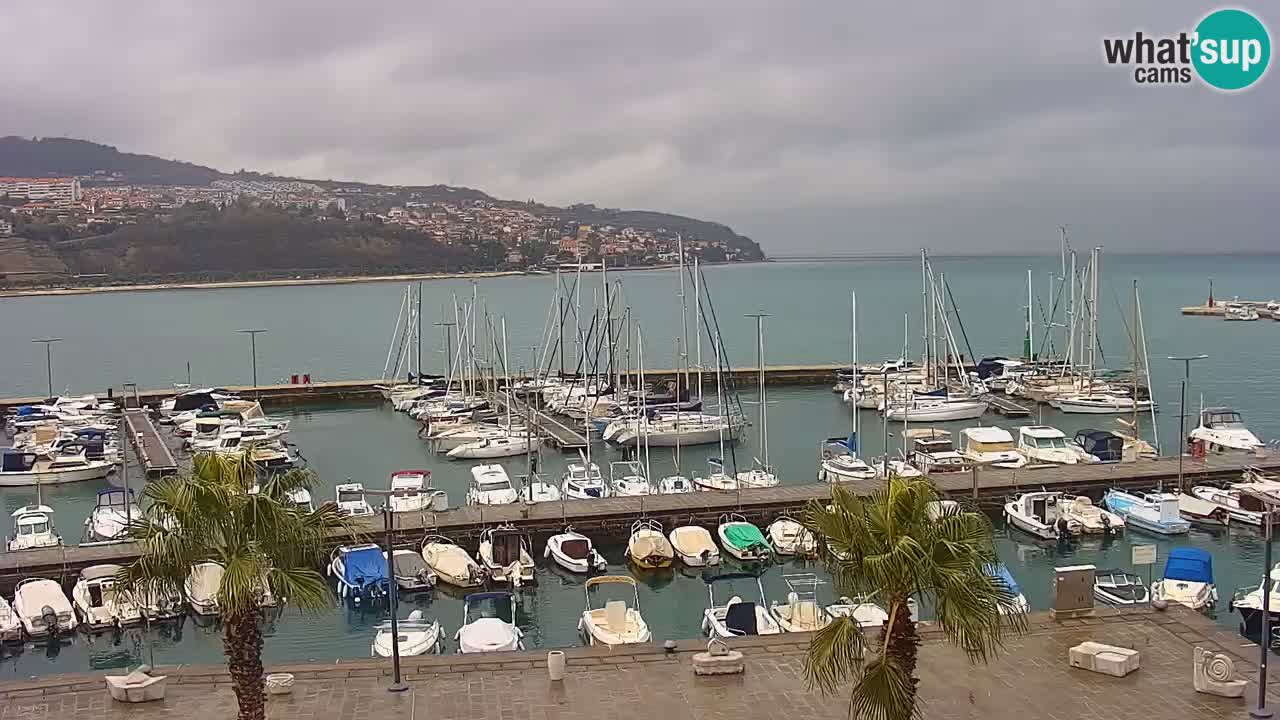 Spletna kamera Koper – Panorama na marino in promenado s Hotela Grand Koper