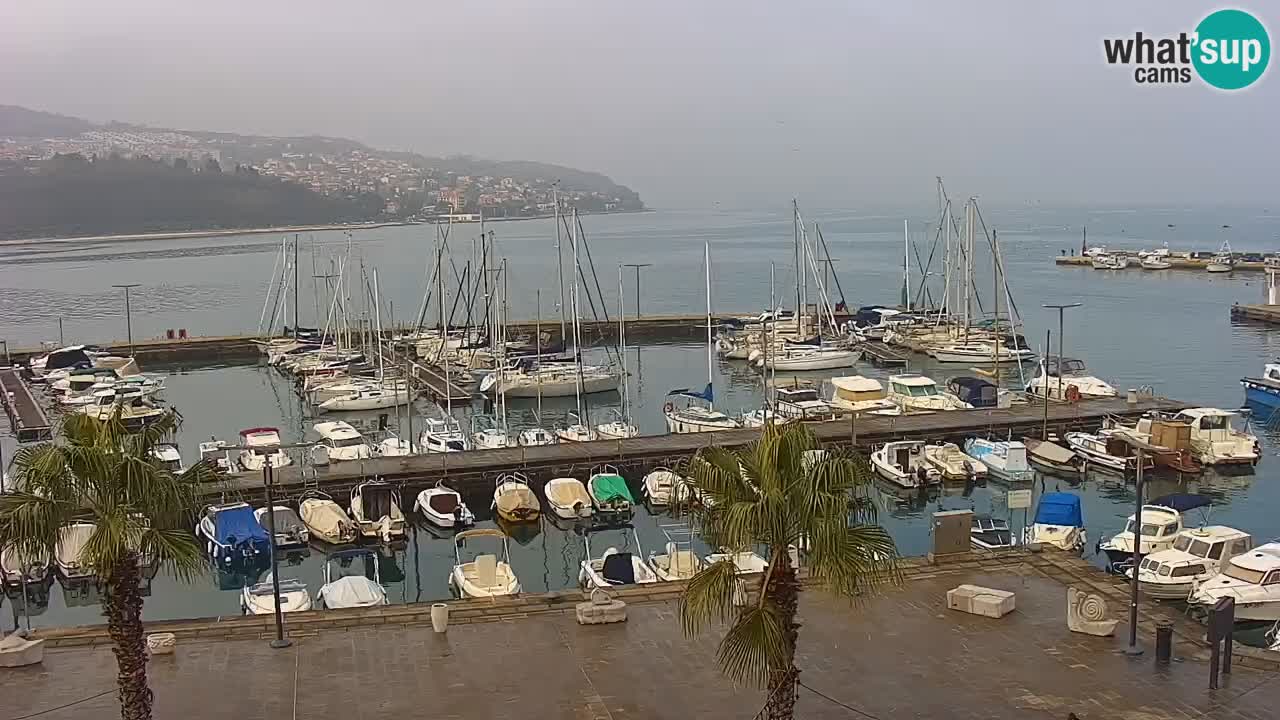 Camera en Vivo Koper – Ukmarjev trg