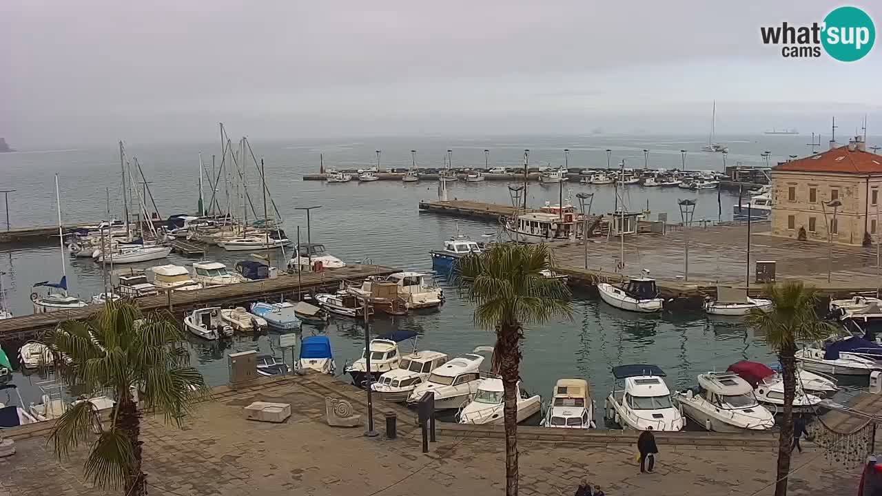 Webcam en vivo del Puerto de Koper – puerto de carga y cruceros – Eslovenia