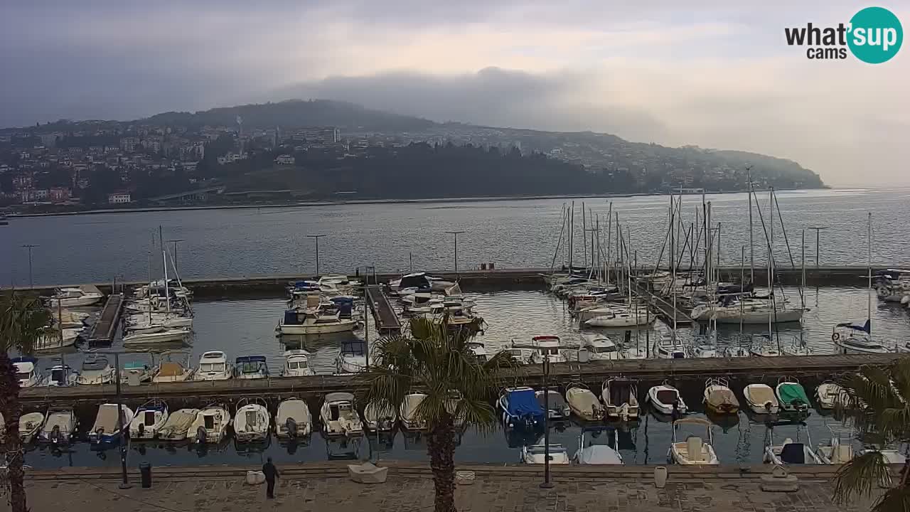 Webcam en direct du port de Koper – port de croisière et de fret – Slovénie