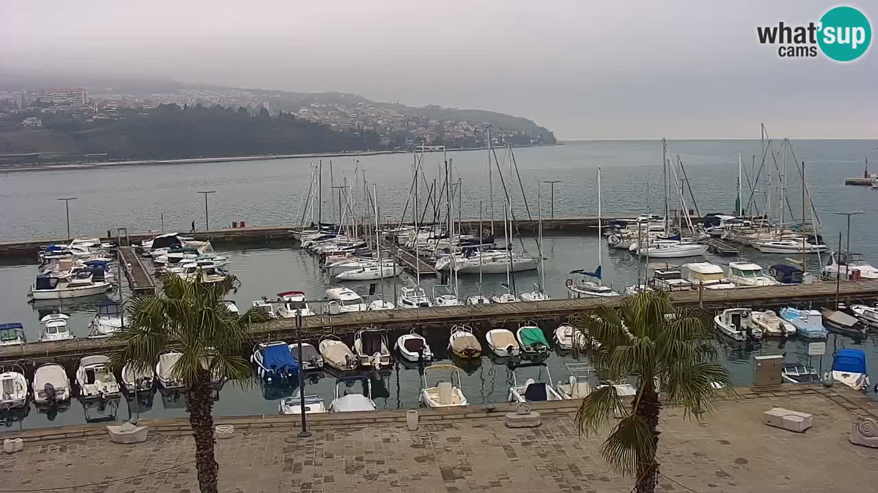 Spletna kamera Koper – Panorama na marino in promenado s Hotela Grand Koper