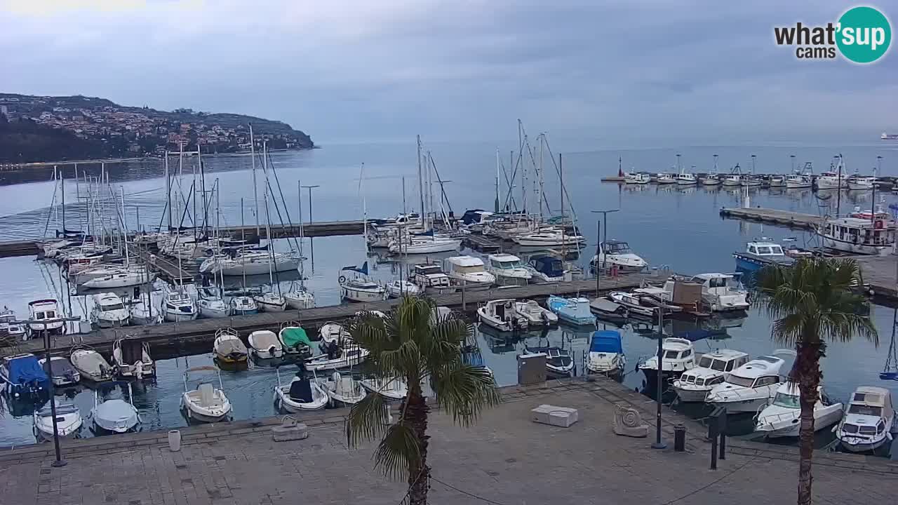 Webcam Koper – Panorama of the marina and promenade from the Grand Hotel Koper