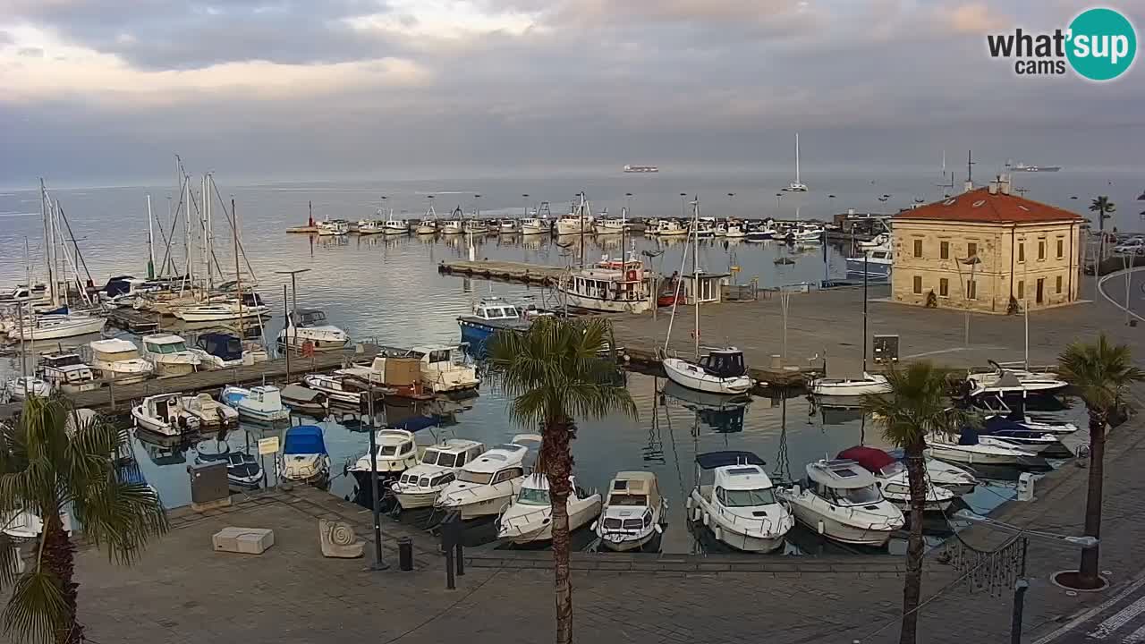 Spletna kamera Koper – Panorama na marino in promenado s Hotela Grand Koper