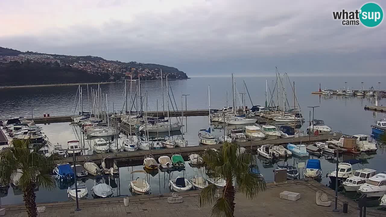 Webcam Koper – Panorama of the marina and promenade from the Grand Hotel Koper