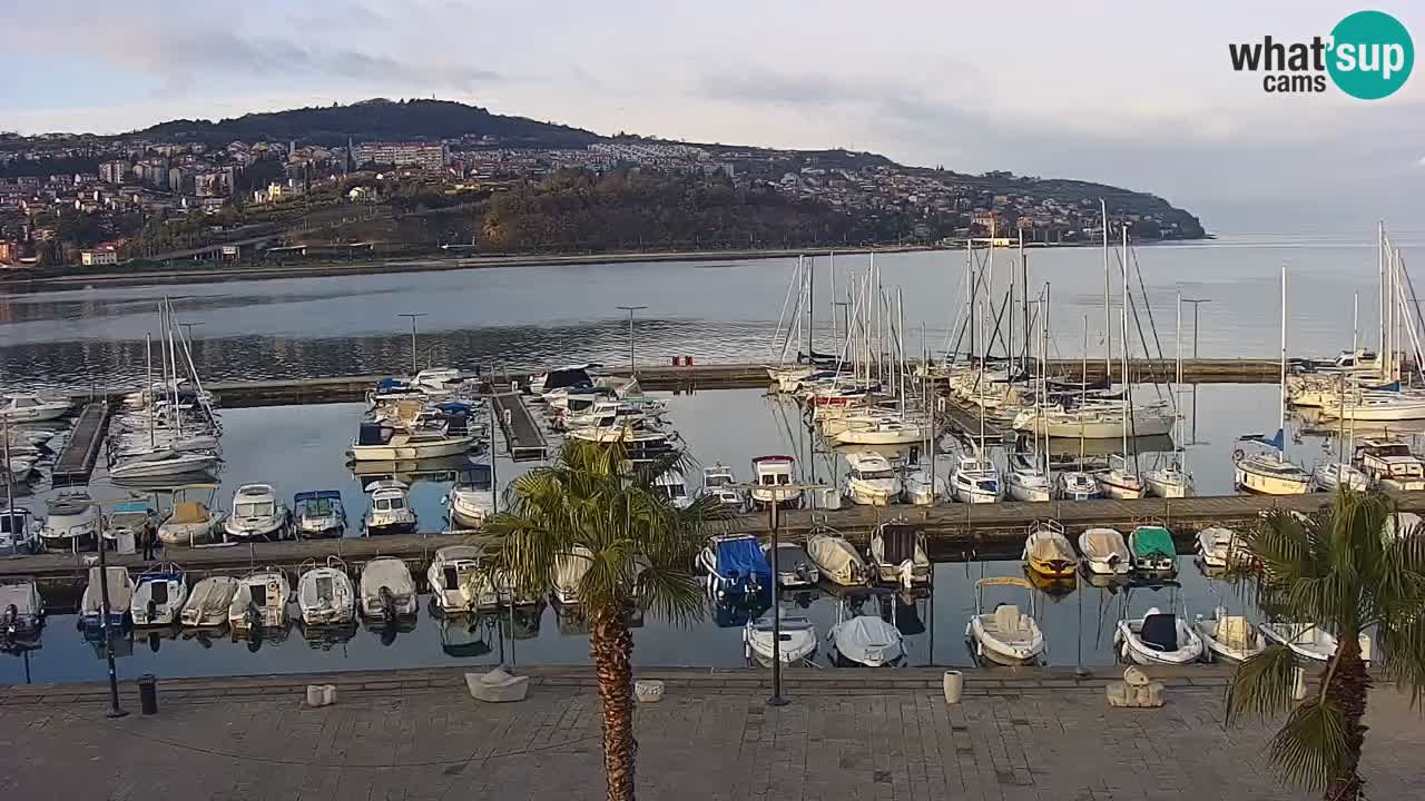 Webcam Koper – Panorama of the marina and promenade from the Grand Hotel Koper