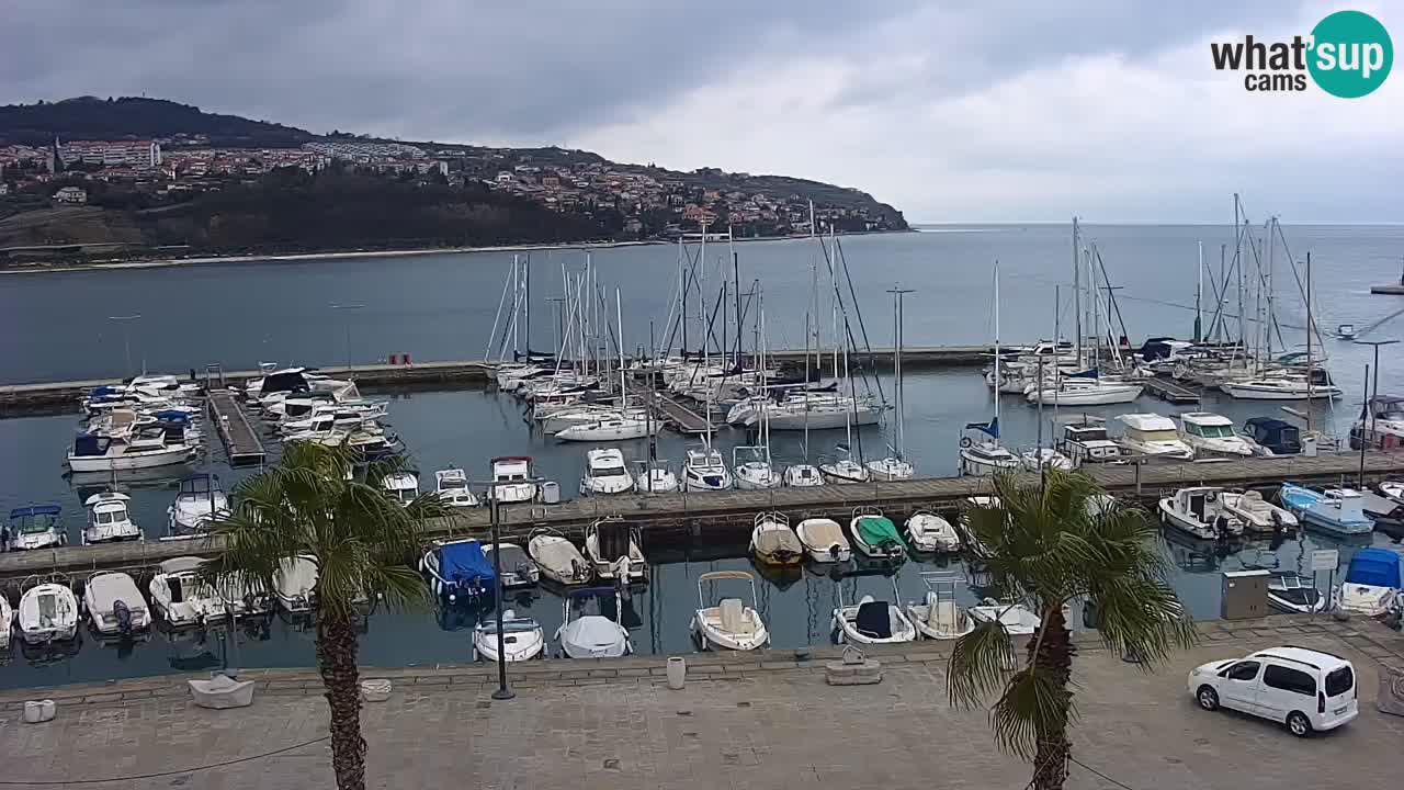 Il porto di Koper – Capodistria live webcam – porto crociere e mercantile – Slovenia