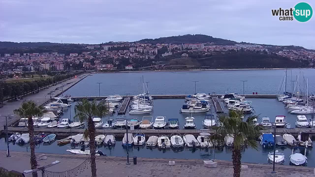 Camera en vivo Koper – puerto deportivo y paseo marítimo desde el Hotel Grand Koper