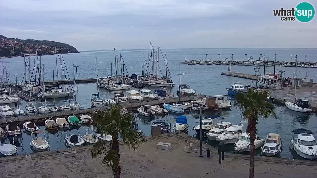 Spletna kamera Luka Koper v živo – Potniški terminal in tovorno pristanišče – Slovenija