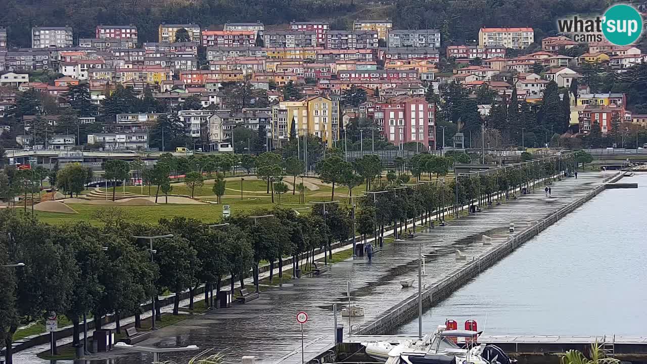 Der Hafen von Koper Live-Webcam – Kreuzfahrt- und Frachthafen – Slowenien