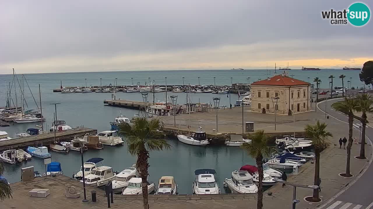 Spletna kamera Luka Koper v živo – Potniški terminal in tovorno pristanišče – Slovenija