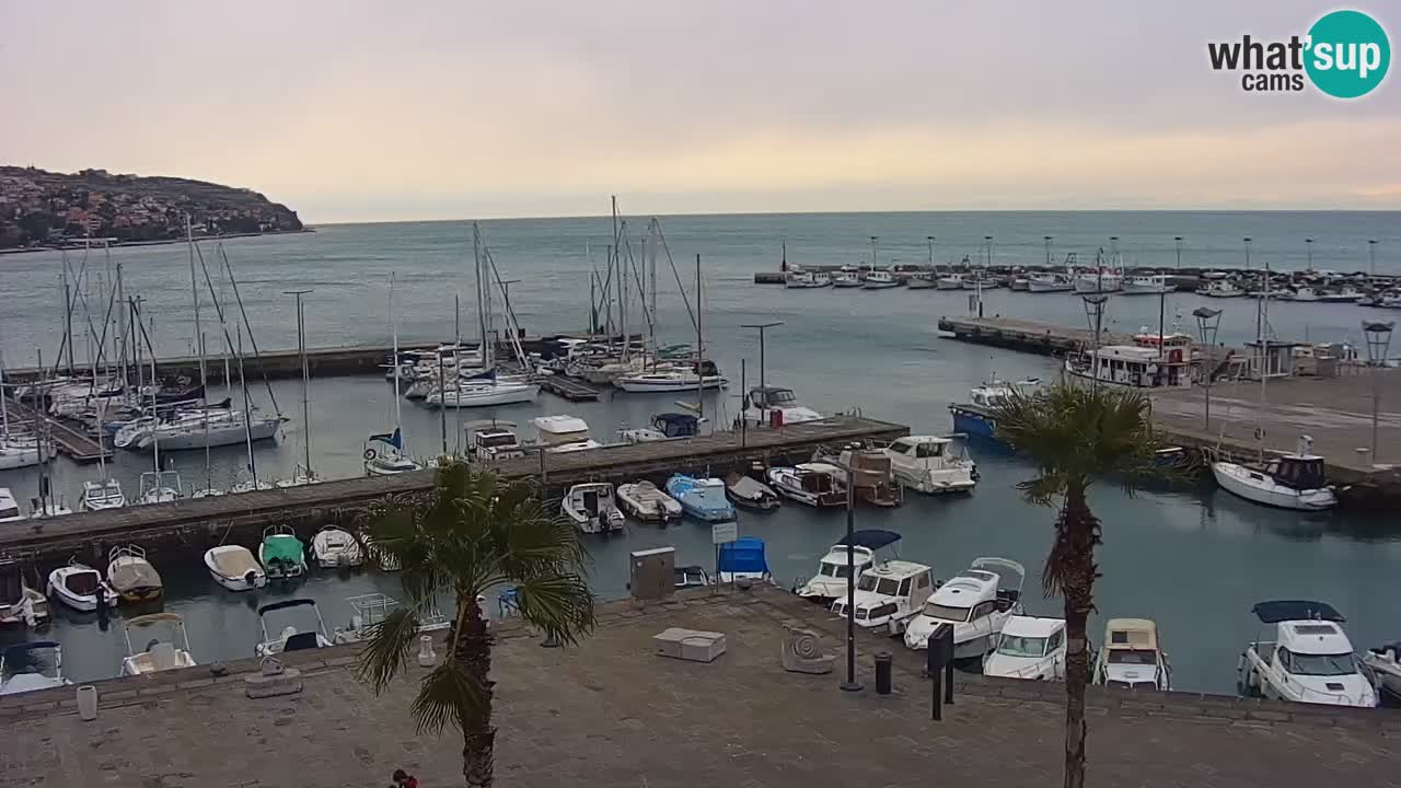 Webcam Koper – Panorama de la marina et de la promenade depuis le Grand Hotel Koper