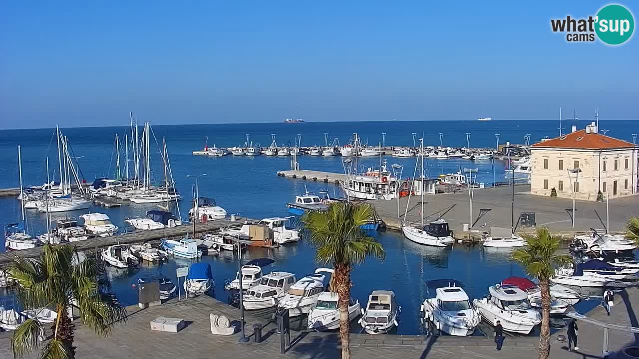 Der Hafen von Koper Live-Webcam – Kreuzfahrt- und Frachthafen – Slowenien