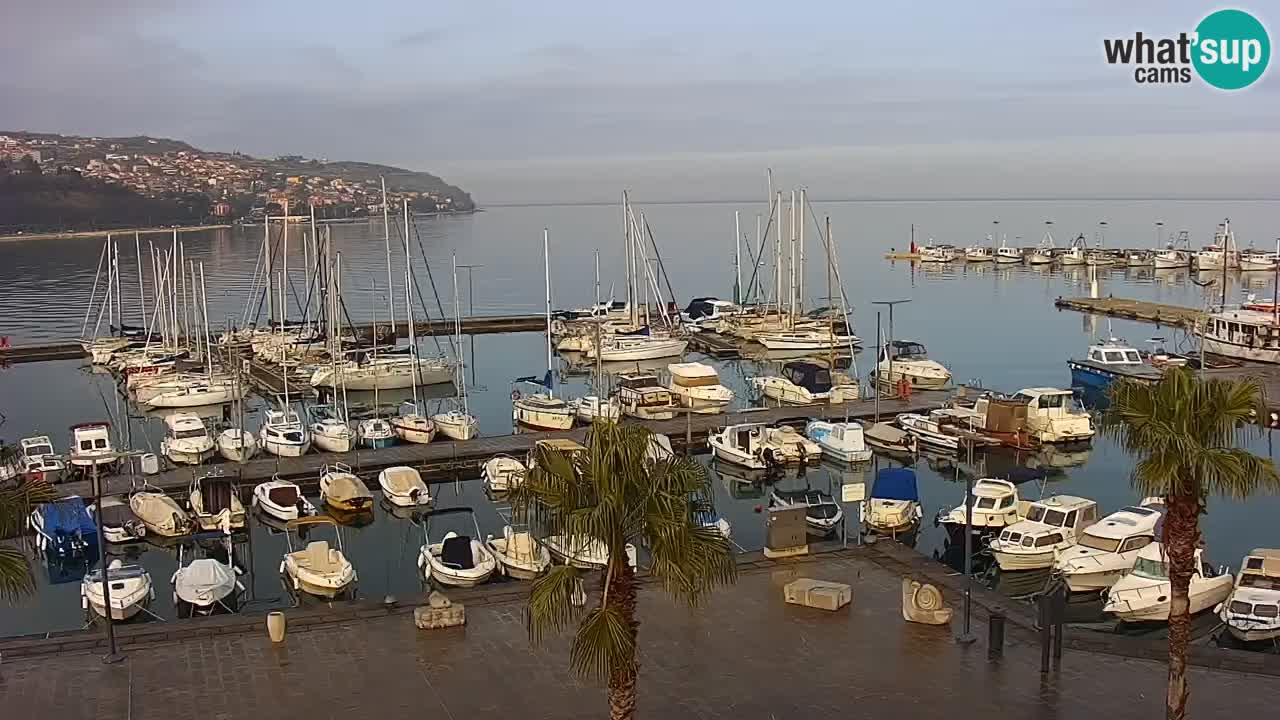 Spletna kamera Luka Koper v živo – Potniški terminal in tovorno pristanišče – Slovenija