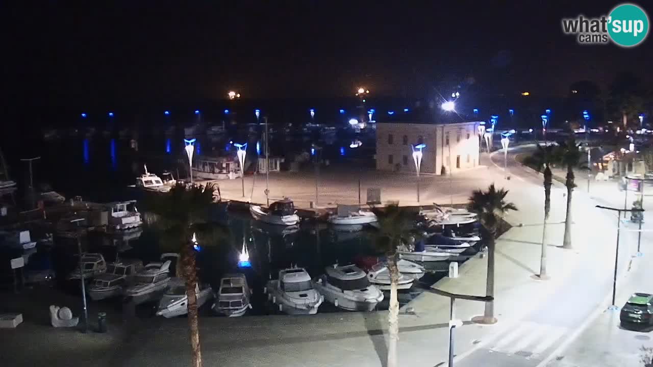 The Port of Koper live webcam – cruise and cargo port – Slovenia