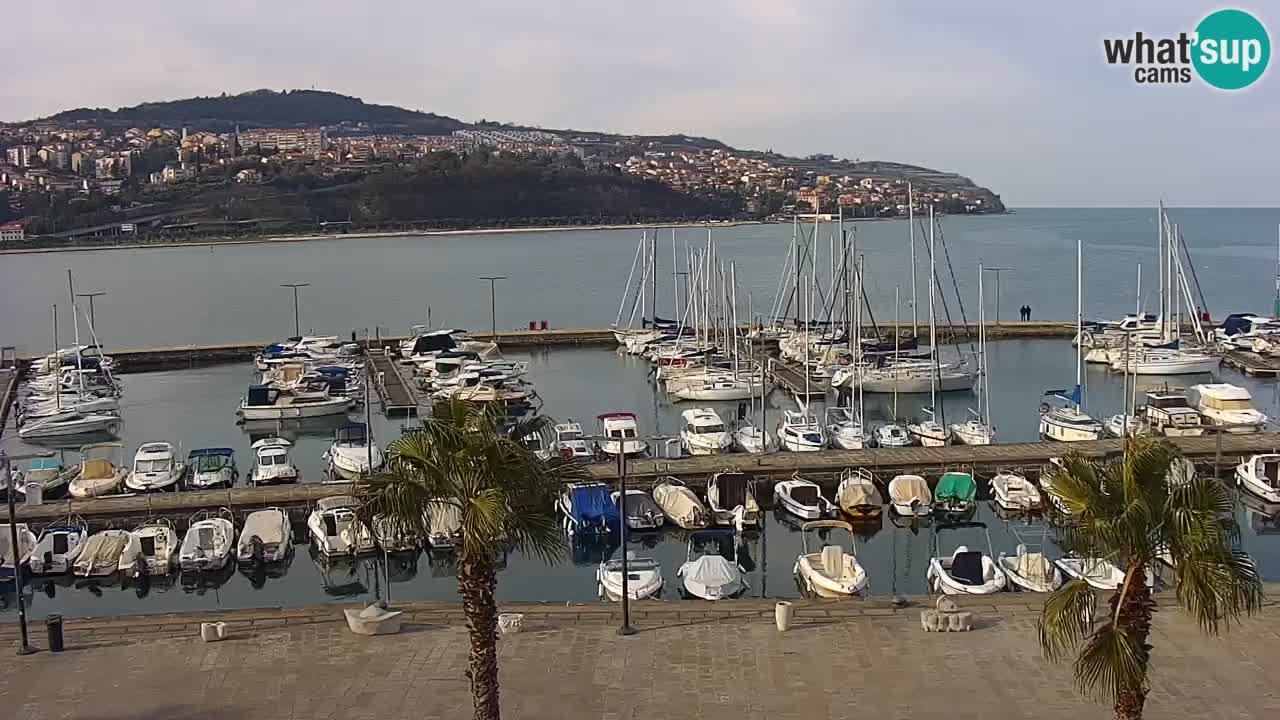 The Port of Koper live webcam – cruise and cargo port – Slovenia