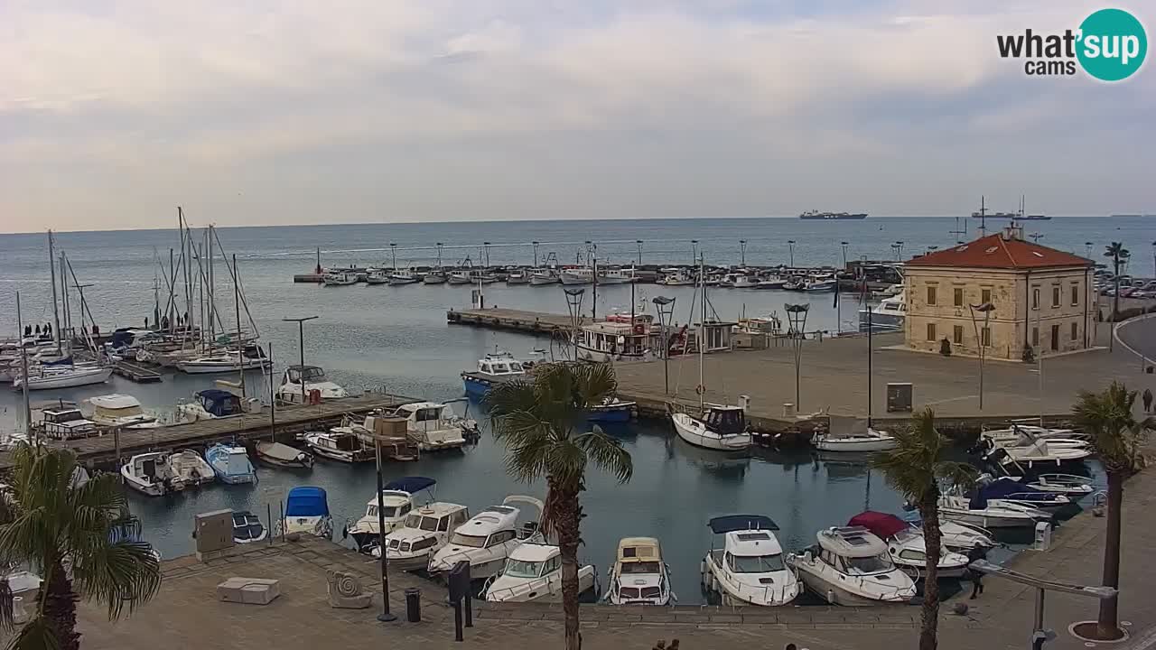 Camera en vivo Koper – puerto deportivo y paseo marítimo desde el Hotel Grand Koper