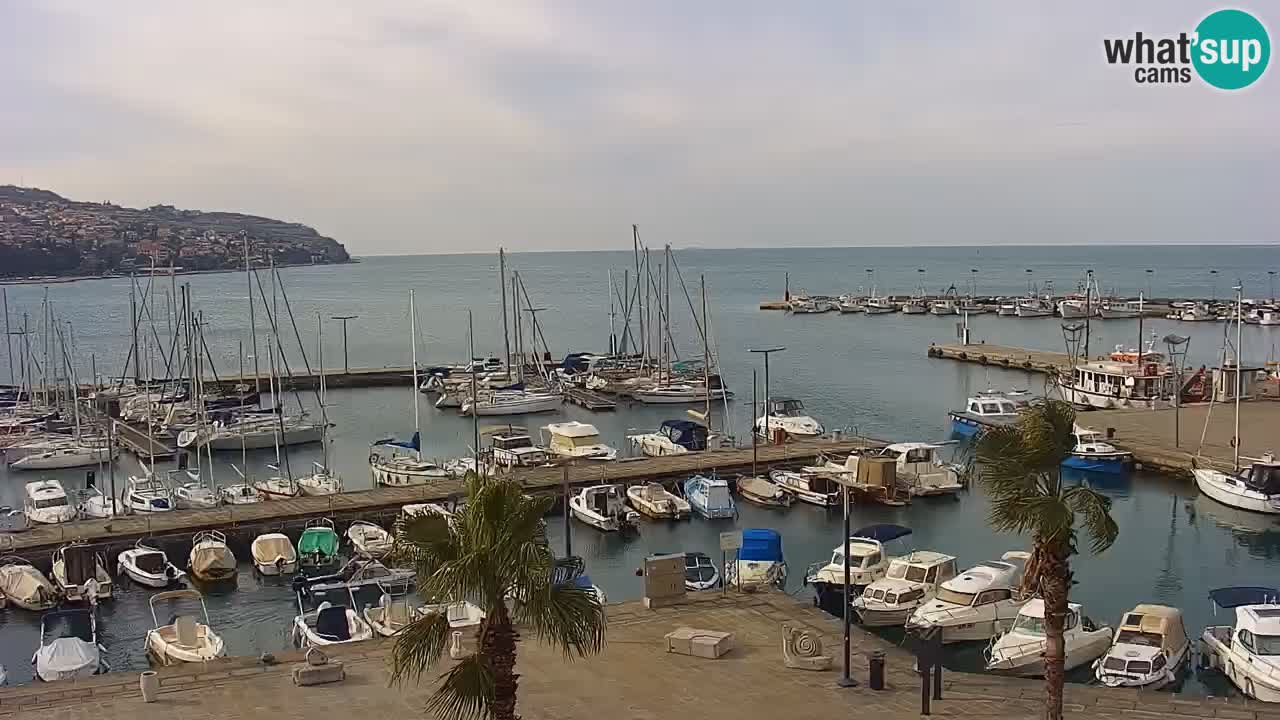 Webcam Koper – Panorama de la marina et de la promenade depuis le Grand Hotel Koper