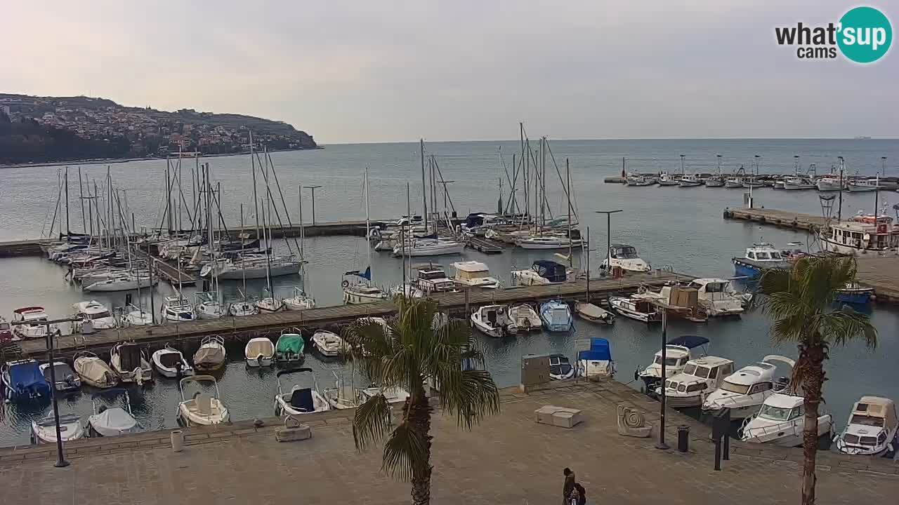 Webcam Koper – Panorama de la marina et de la promenade depuis le Grand Hotel Koper