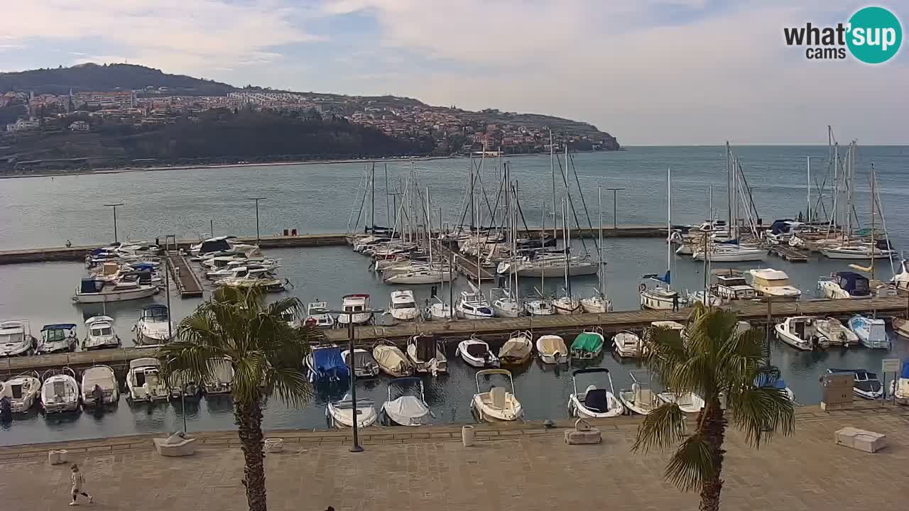 Spletna kamera Luka Koper v živo – Potniški terminal in tovorno pristanišče – Slovenija