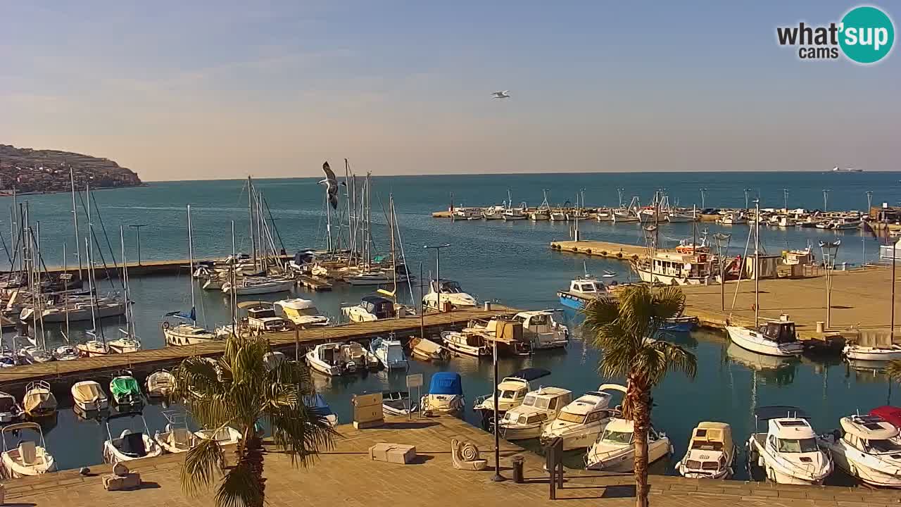 Der Hafen von Koper Live-Webcam – Kreuzfahrt- und Frachthafen – Slowenien