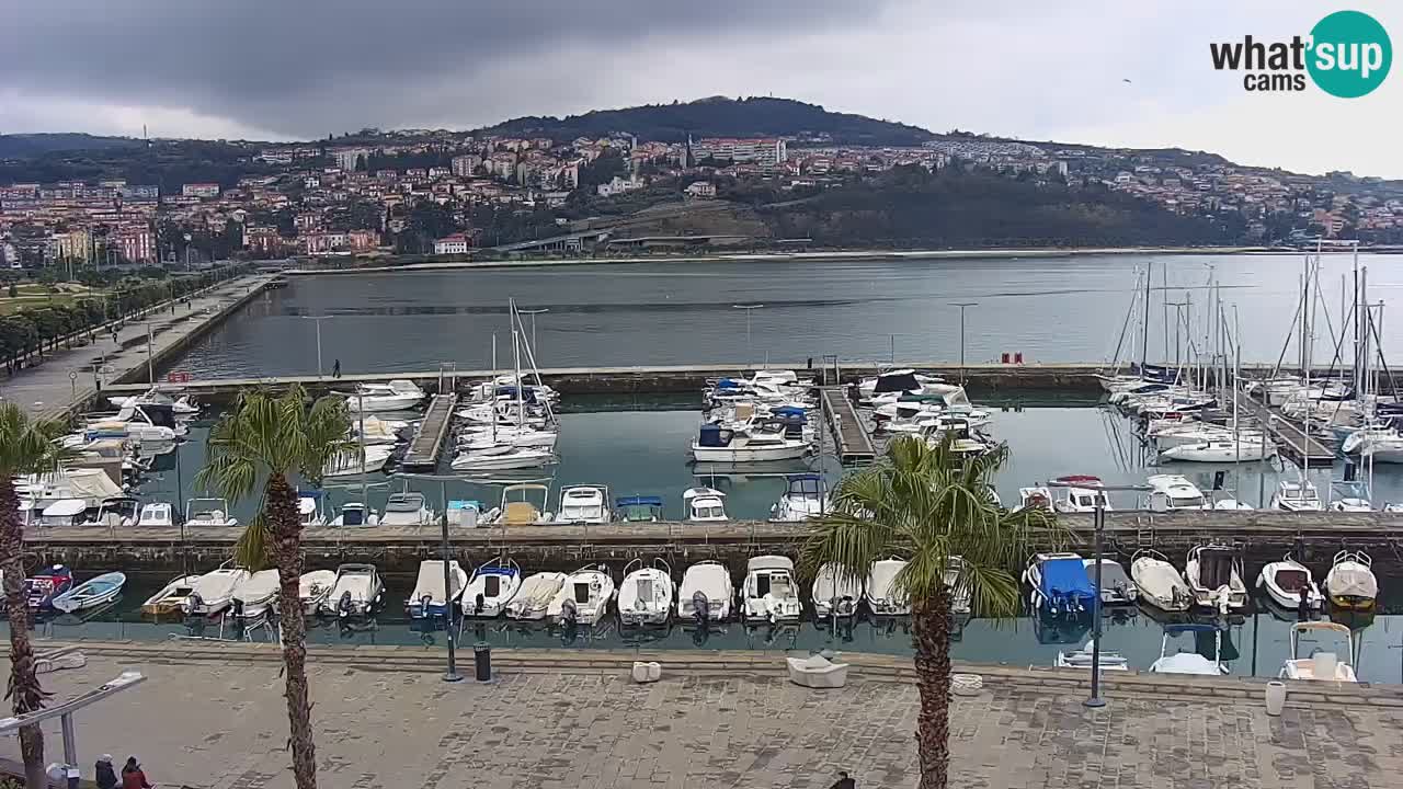 The Port of Koper live webcam – cruise and cargo port – Slovenia