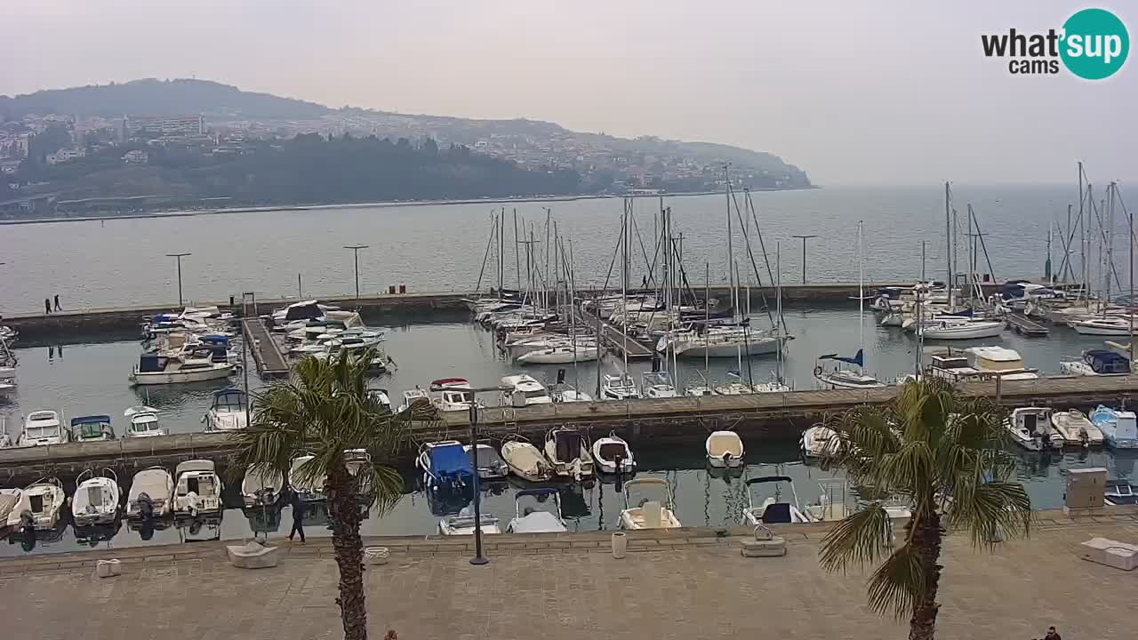 Webcam Koper – Panorama des Jachthafens und der Promenade vom Hotel Grand Koper