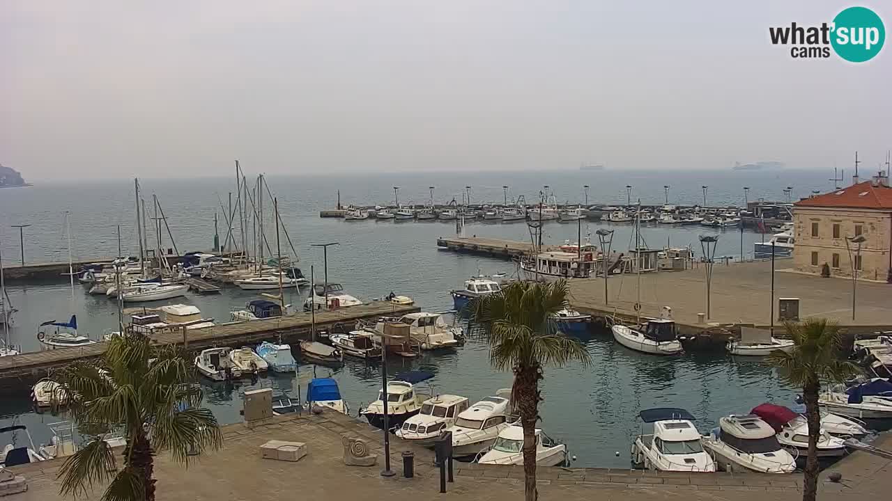 Webcam Koper – Panorama des Jachthafens und der Promenade vom Hotel Grand Koper