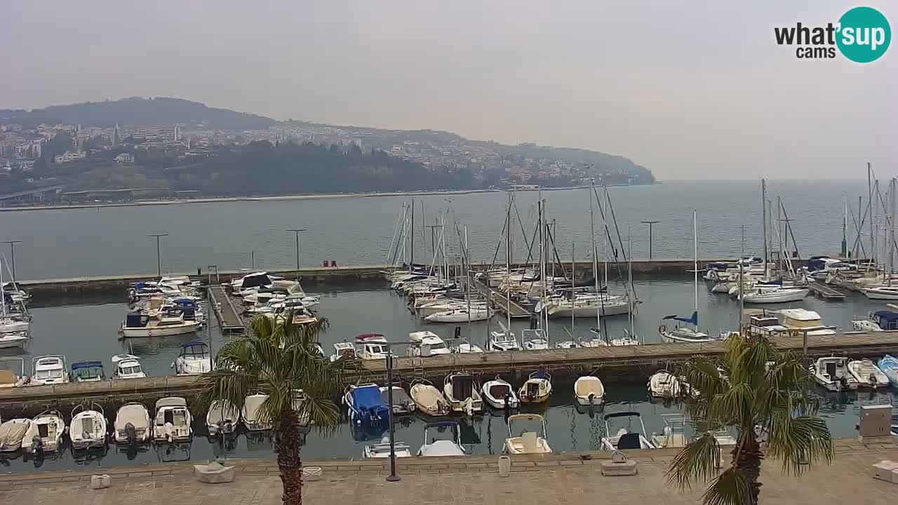 Webcam Koper – Panorama des Jachthafens und der Promenade vom Hotel Grand Koper