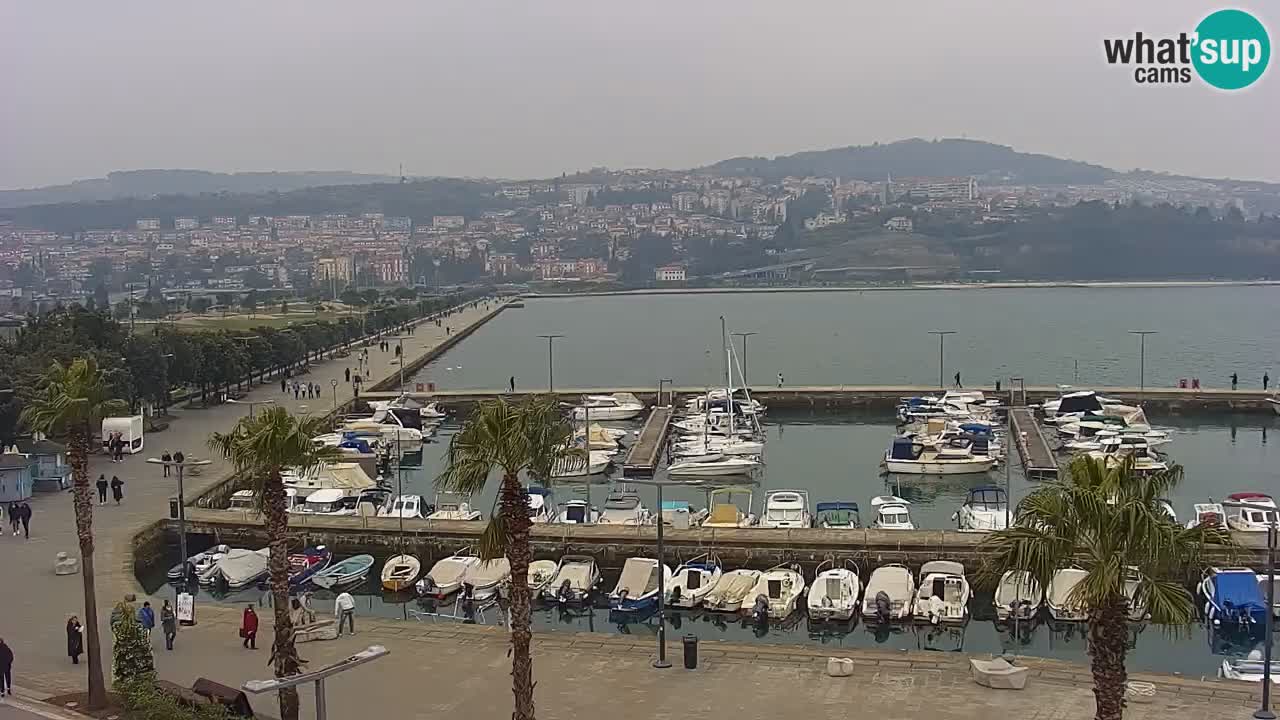 Spletna kamera Koper – Panorama na marino in promenado s Hotela Grand Koper