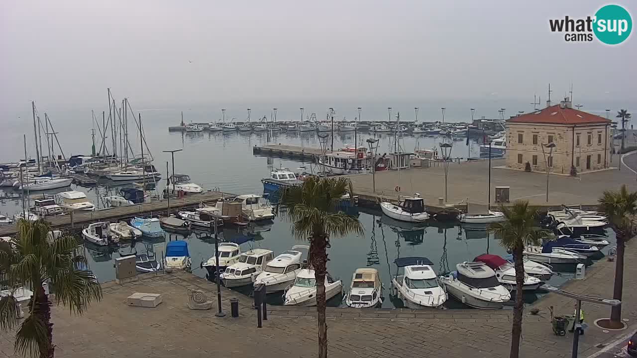 Der Hafen von Koper Live-Webcam – Kreuzfahrt- und Frachthafen – Slowenien