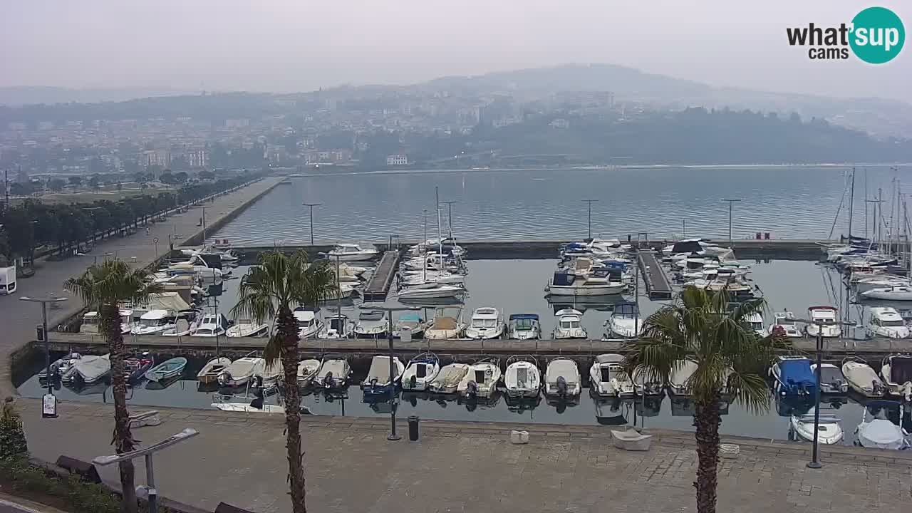 The Port of Koper live webcam – cruise and cargo port – Slovenia