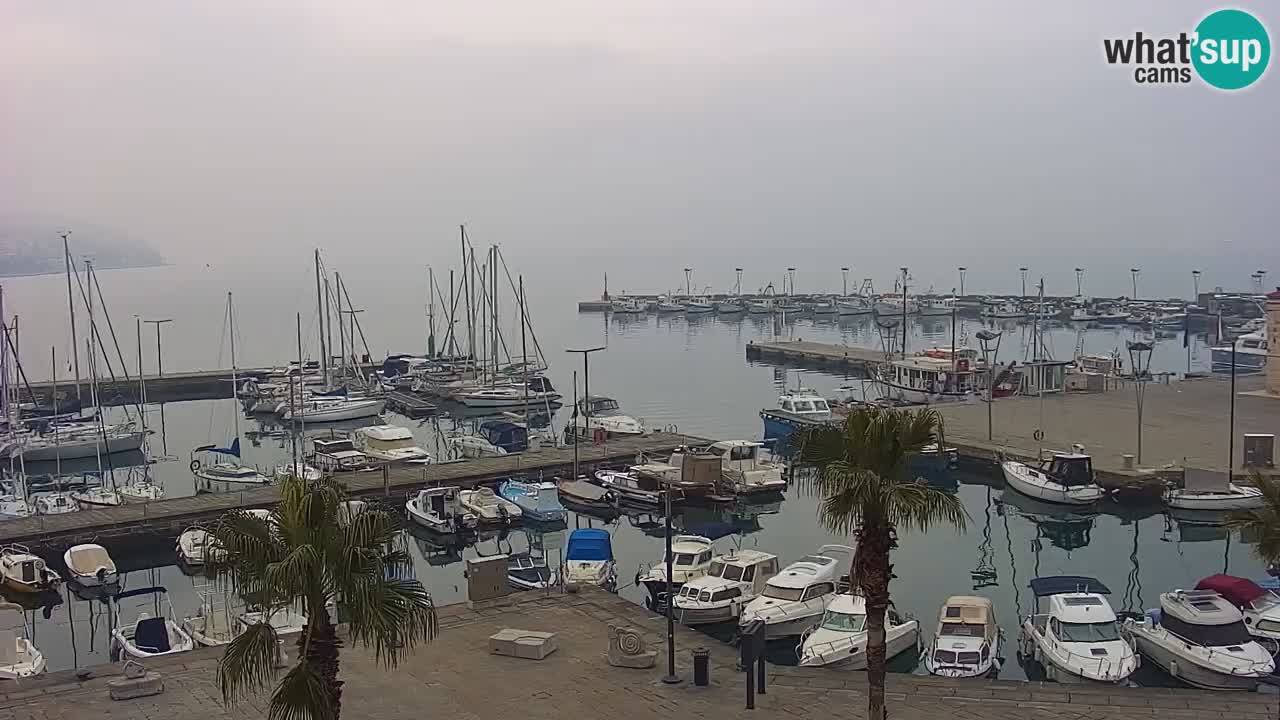 Spletna kamera Koper – Panorama na marino in promenado s Hotela Grand Koper