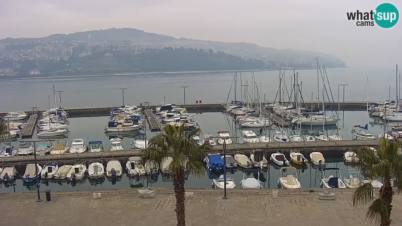 Camera en vivo Koper – puerto deportivo y paseo marítimo desde el Hotel Grand Koper