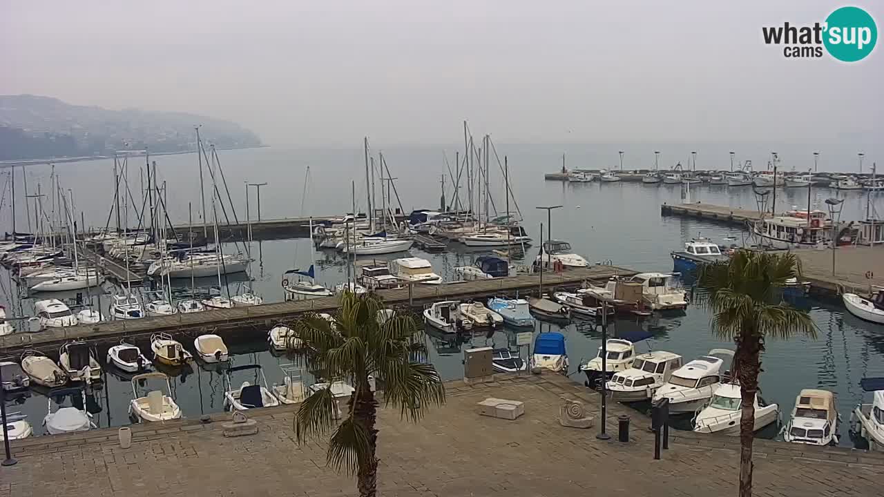 Camera en Vivo Koper – Ukmarjev trg