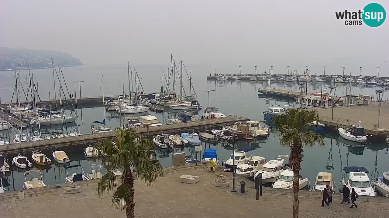 Webcam Koper – Panorama of the marina and promenade from the Grand Hotel Koper