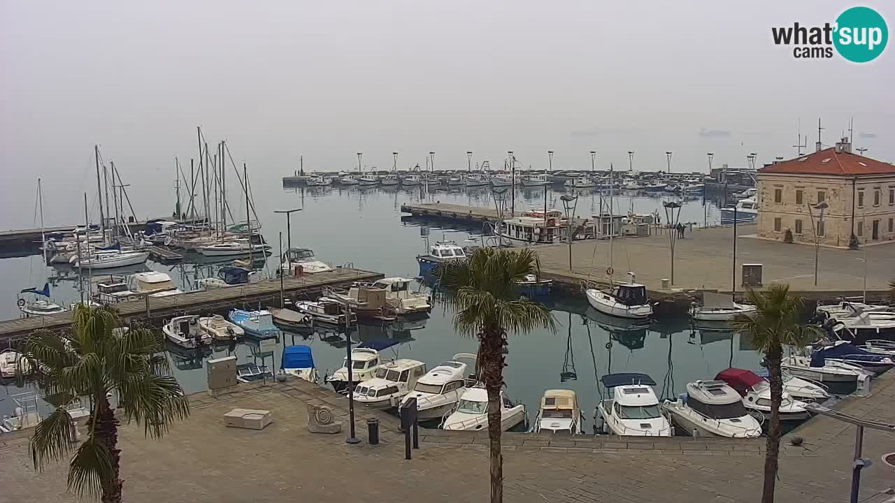 Webcam Koper – Panorama des Jachthafens und der Promenade vom Hotel Grand Koper