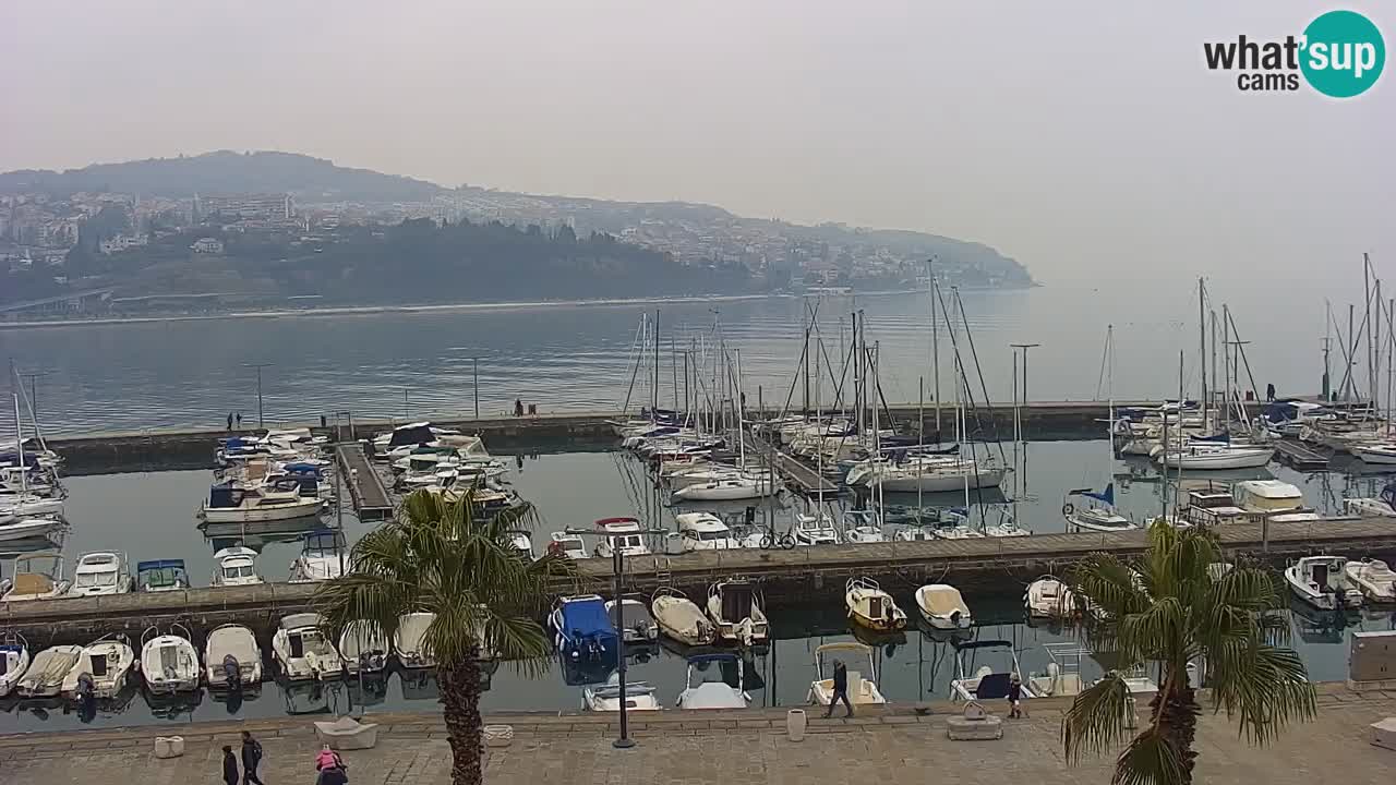 Webcam Koper – Panorama des Jachthafens und der Promenade vom Hotel Grand Koper