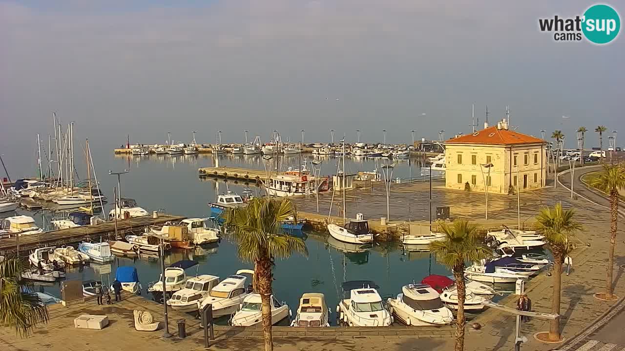 Spletna kamera Luka Koper v živo – Potniški terminal in tovorno pristanišče – Slovenija