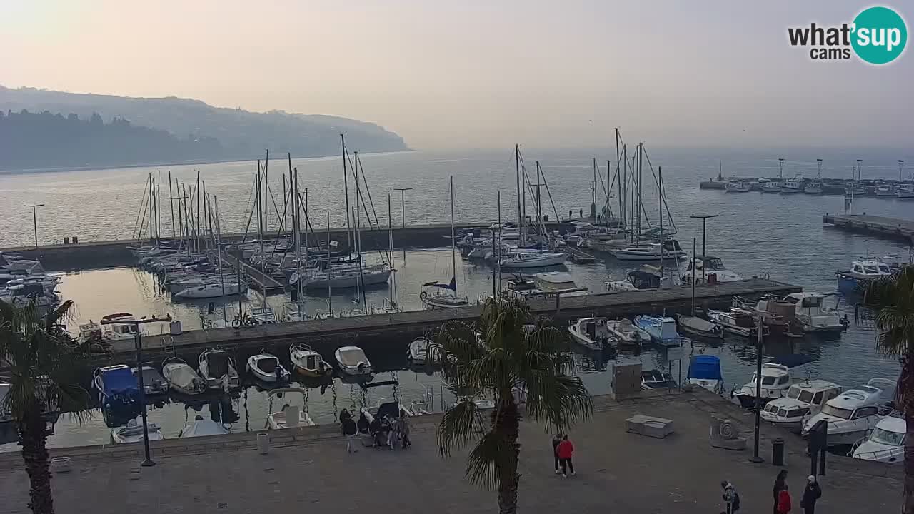 Webcam en direct du port de Koper – port de croisière et de fret – Slovénie