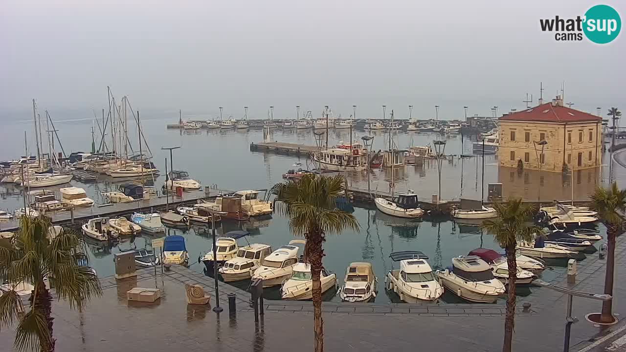 Der Hafen von Koper Live-Webcam – Kreuzfahrt- und Frachthafen – Slowenien