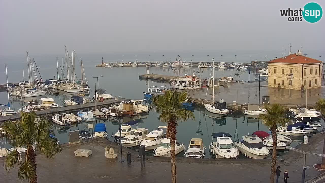 Webcam en direct du port de Koper – port de croisière et de fret – Slovénie