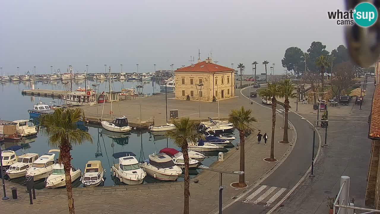 Webcam Capodistria – Piazza Ukmar