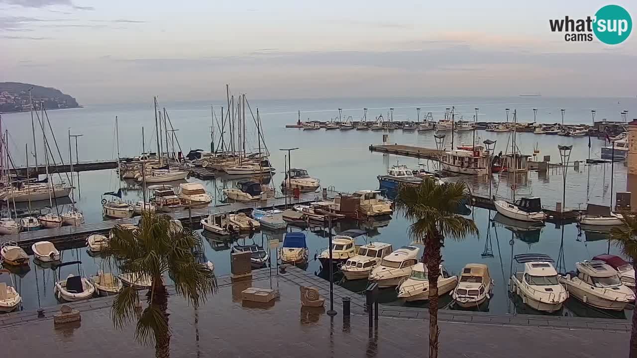 Luka Kopar uživo web kamera – Turistički terminal i teretna luka – Slovenija