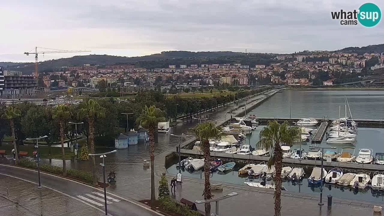 Livecam Koper – Ukmarjev trg