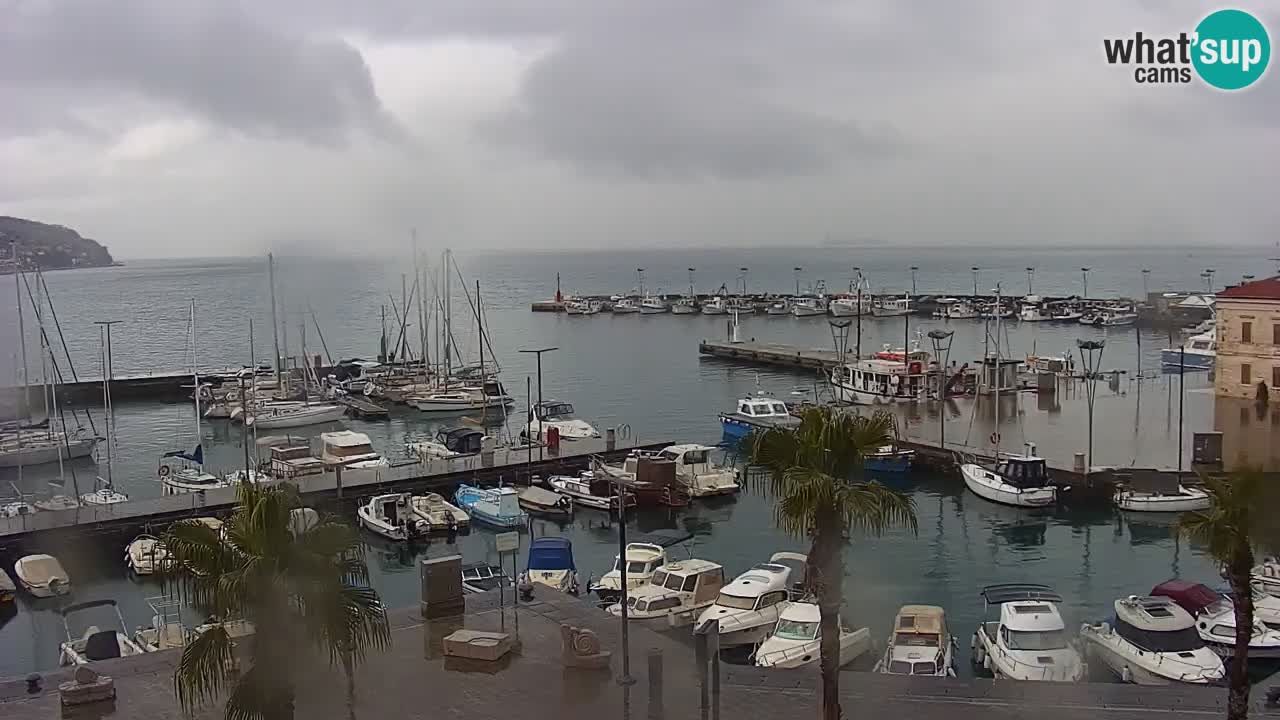 Der Hafen von Koper Live-Webcam – Kreuzfahrt- und Frachthafen – Slowenien