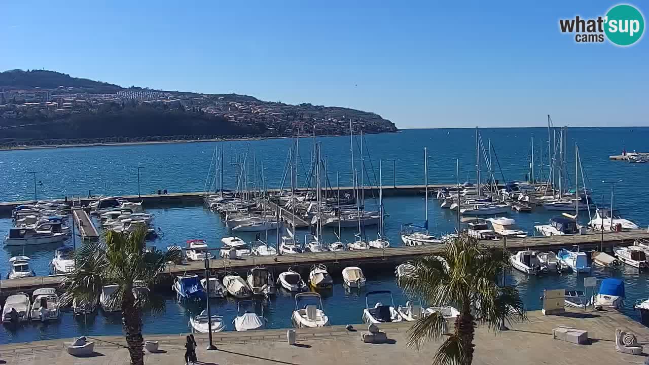 Camera en vivo Koper – puerto deportivo y paseo marítimo desde el Hotel Grand Koper