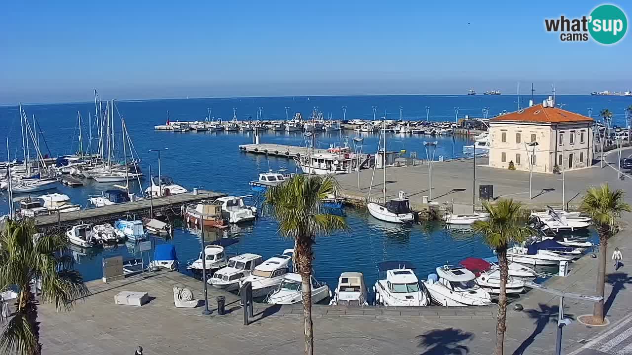 Webcam Koper – Panorama of the marina and promenade from the Grand Hotel Koper