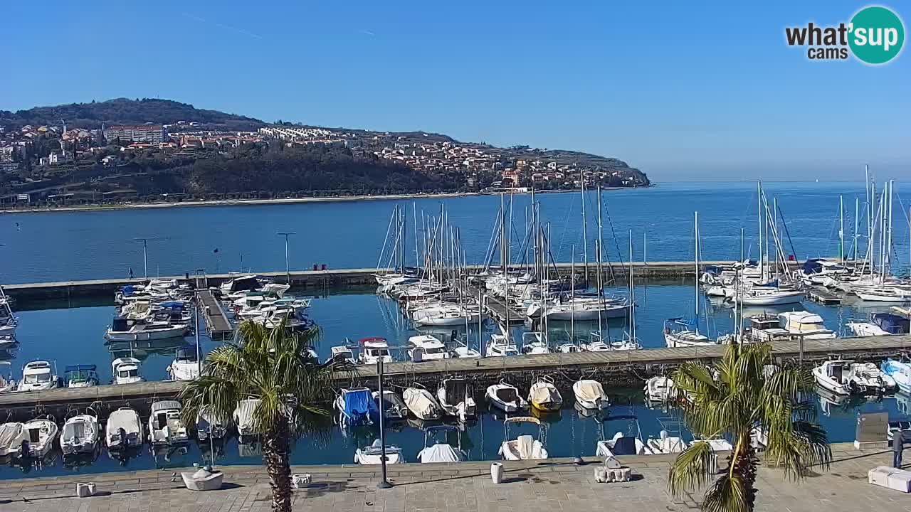 Spletna kamera Luka Koper v živo – Potniški terminal in tovorno pristanišče – Slovenija