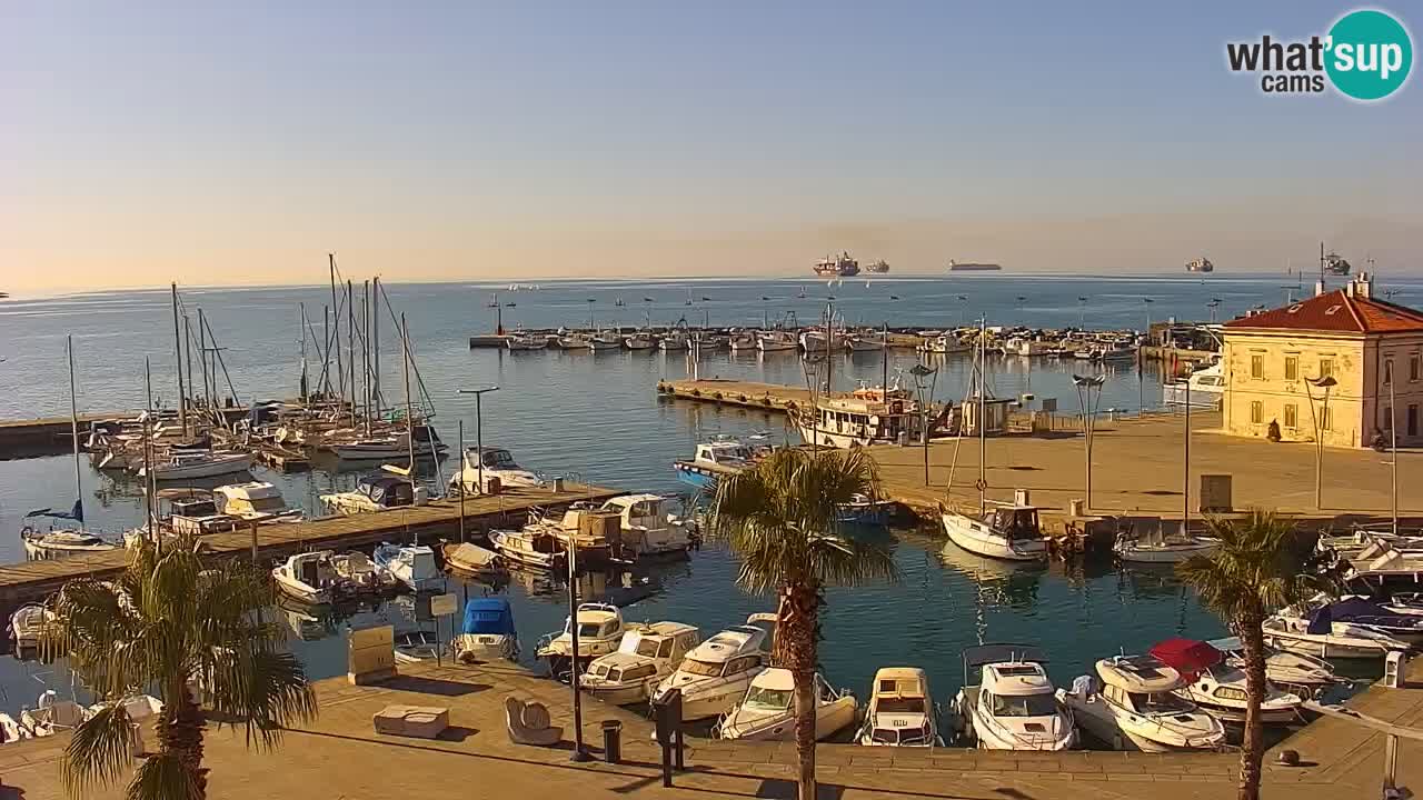 Webcam en vivo del Puerto de Koper – puerto de carga y cruceros – Eslovenia